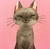 kitty3250's avatar