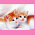 KittyCanKitty's avatar