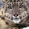 kittycat-stefi's avatar