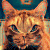 kittycat9's avatar