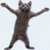 Kittycatdanceplz's avatar