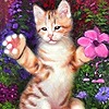 kittycatmeadows's avatar