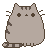 KittyClanOP's avatar