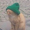 kittycrayon's avatar