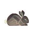 kittydraak's avatar