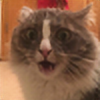 kittykatc666's avatar