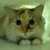 kittylover's avatar