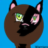 KittyLoverKat555's avatar
