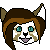 Kiwi-Dog's avatar