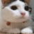 kiyoshicat's avatar