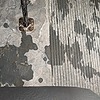 kj2113281's avatar