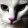 kkittycatt's avatar
