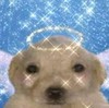 KlauMelon's avatar