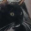 Klinikum's avatar