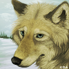 Koahara's avatar