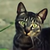 Koci-Obiektyw's avatar
