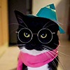 korscord's avatar