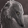 korvius's avatar