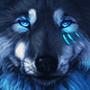 KovoWolf's avatar