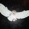 kreatedbykate's avatar