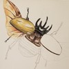 KrystleOfManyFacets's avatar