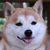 kuma-go's avatar