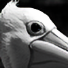 Kwheatland's avatar
