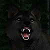 Kylietheshewolf's avatar