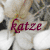 kyoskatze's avatar