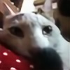 Kyraluv7's avatar