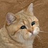 Kyuubinaru1412's avatar