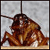 La-cucaracha-dice's avatar