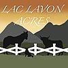 Lac-Lavon's avatar