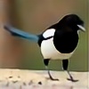 Lady-Magpie's avatar