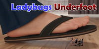 Ladybugs-Underfoot's avatar