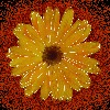 LadyCasandraGraham's avatar