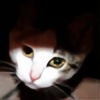 LadyDarsey's avatar