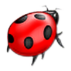 Ladylike-Ladybird's avatar