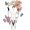 LadyVVia's avatar
