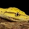 lakotarocks's avatar