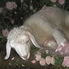 lambones's avatar