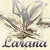 larana's avatar