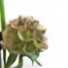 lastflowers's avatar