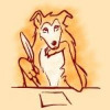 laughingcollie's avatar