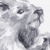 lauraneato1's avatar