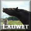 Lauwet's avatar