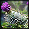 Lavander-Thistle's avatar