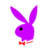 Lavender-Bunny's avatar