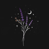 Lavenderlocker's avatar