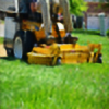 lawncareofcum's avatar
